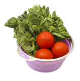 Stainless Steel and Silicone Collapsible Strainer